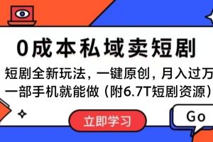 (11118期)短剧最新玩法,0成本私域卖短剧,会复制粘贴即可月入过万,一部手机即…
