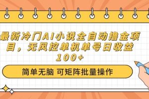 （14292期）最新冷门AI小说全自动撸金项目，无风控单机单号日收益100+