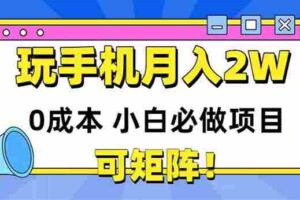 （14879期）玩玩手机月入20000+，0成本小白必做项目，可矩阵