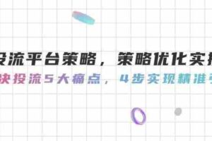 （14862期）投流平台策略，策略优化实操，解决投流5大痛点，4步实现精准引流