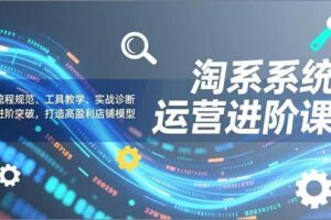 (16927期)淘系系统运营进阶课2.0,流程规范、工具教学、实战诊断,进阶突破,打造高盈利店铺模型